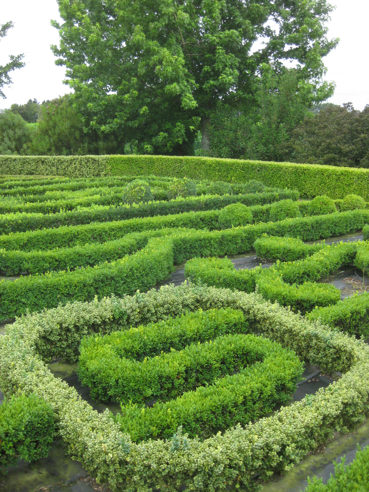 parterre at Tirohia