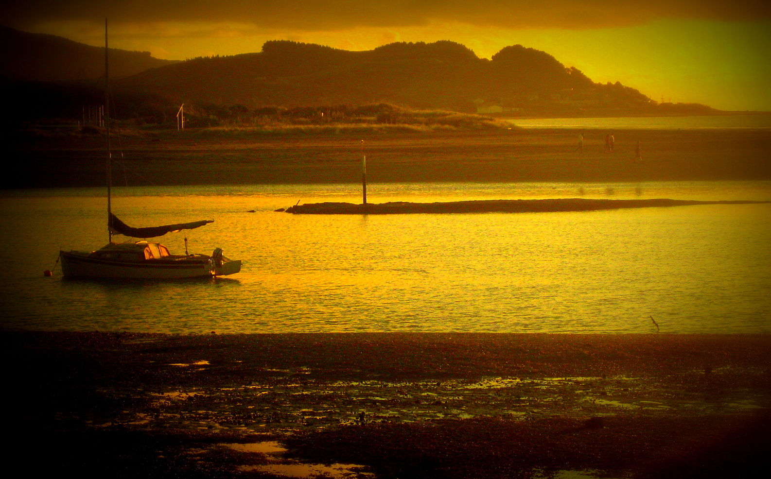 Raglan estuary sunset